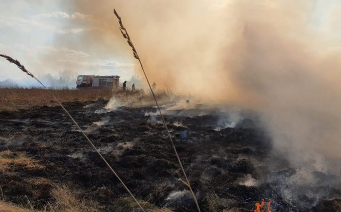 На Адажском полигоне загорелся старник