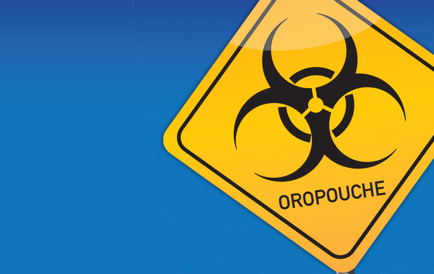 ЦПКЗ: в Латвии не зарегистрирован вирус "Oropouche"