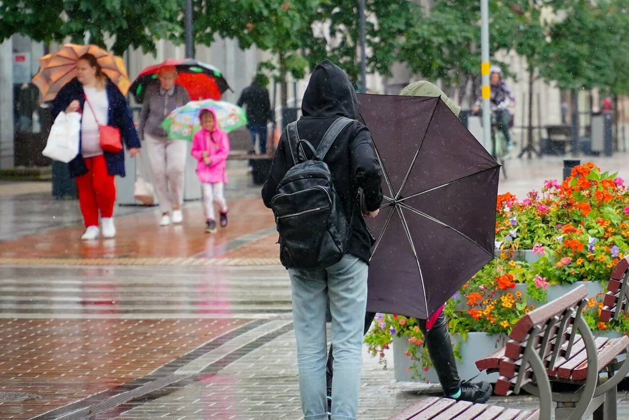 Завтра - пасмурно, местами дожди
