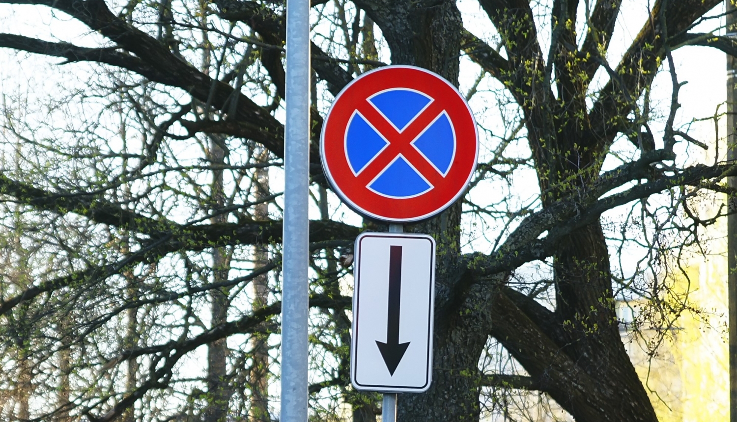 В ночь в центре Риги отключат свет. Почему? В ночь в центре Риги отключат свет. Почему?