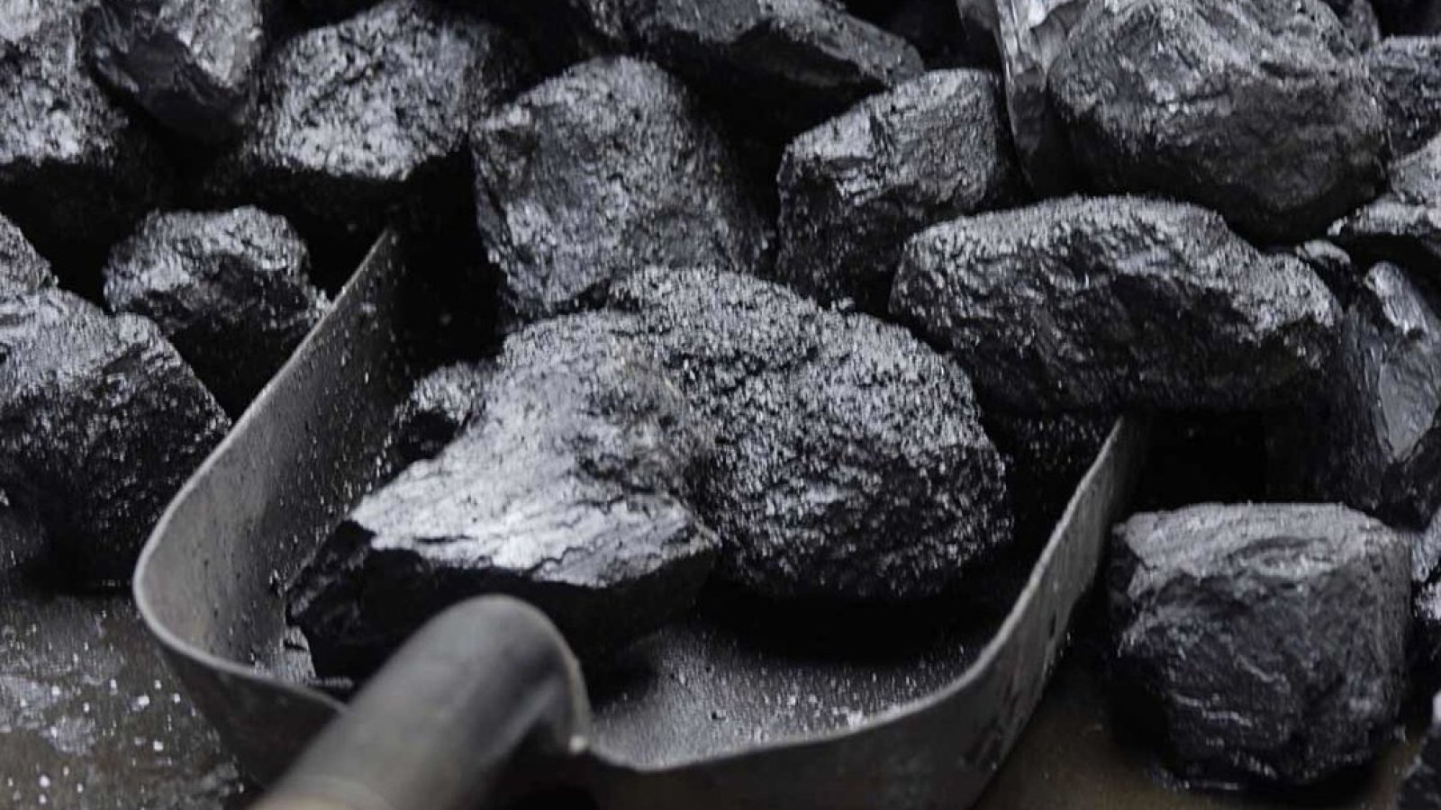 Польские мошенники  продали под видом угля крашеные камни