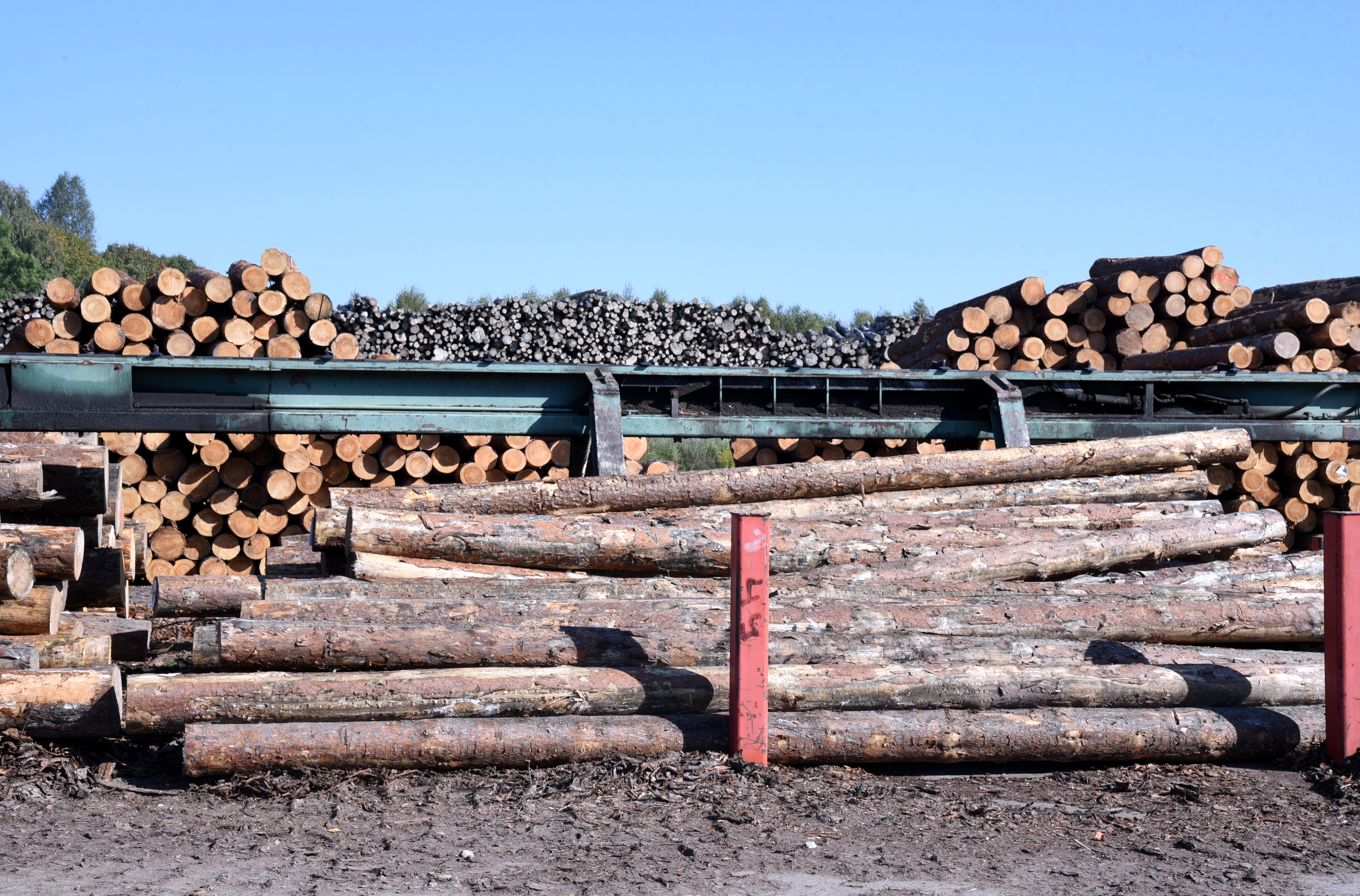 Kokmateriālu tirgotāja "Baltic Wood Trade" apgrozījums pērn saruka par 35,7%