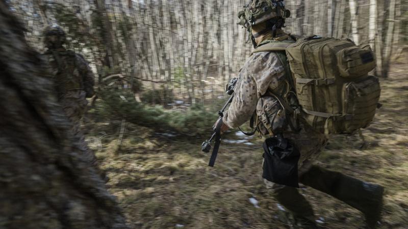 Политолог: призыв ввести обязательную службу связан с предвыборной компанией
