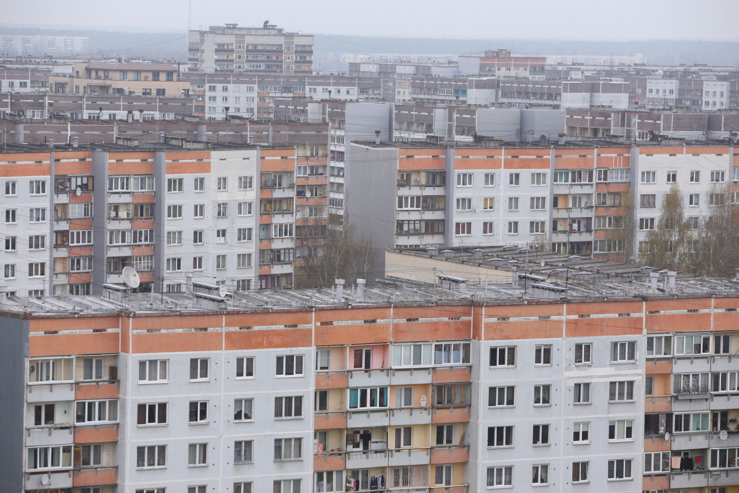 Принудительная аренда земли под домами отменяется несправедливо Принудительная аренда земли под домами отменяется несправедливо