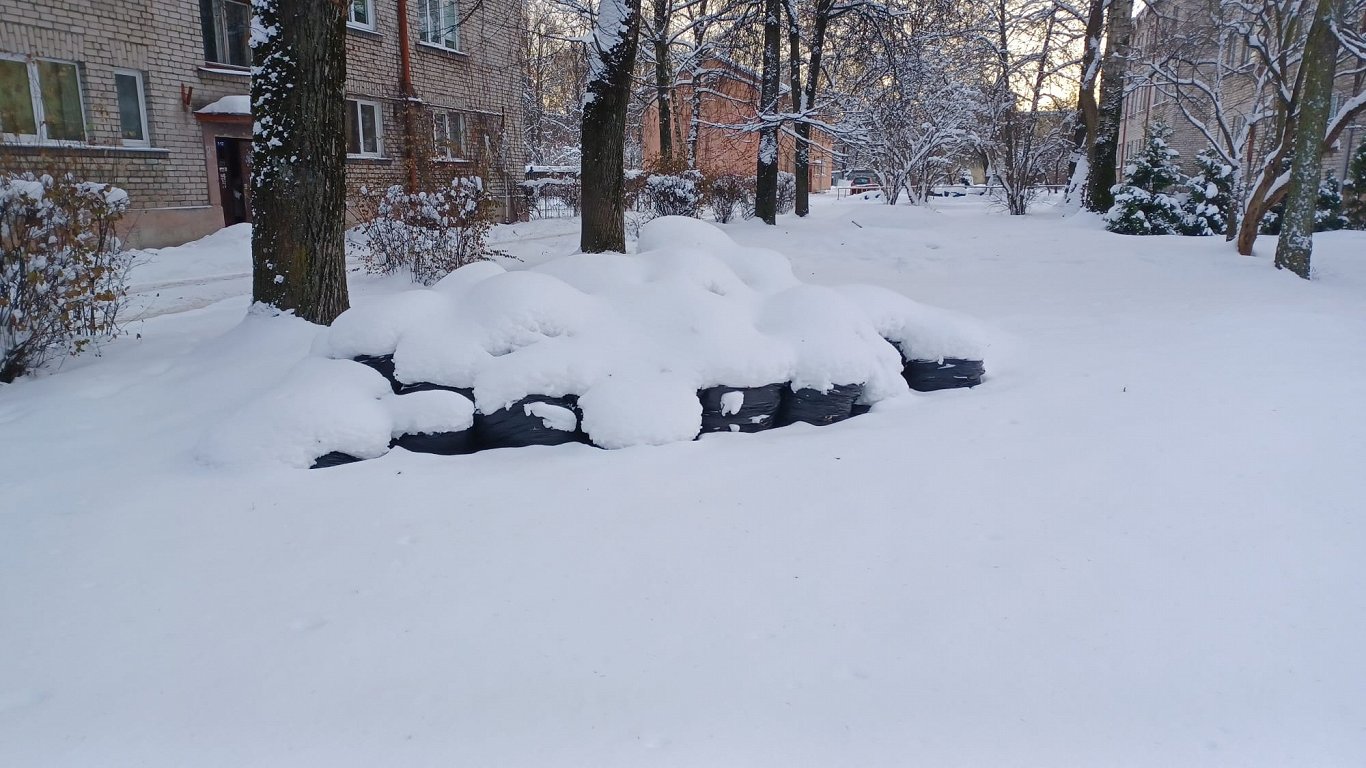 Когда уберут мешки с гниющими листьями из рижских дворов?