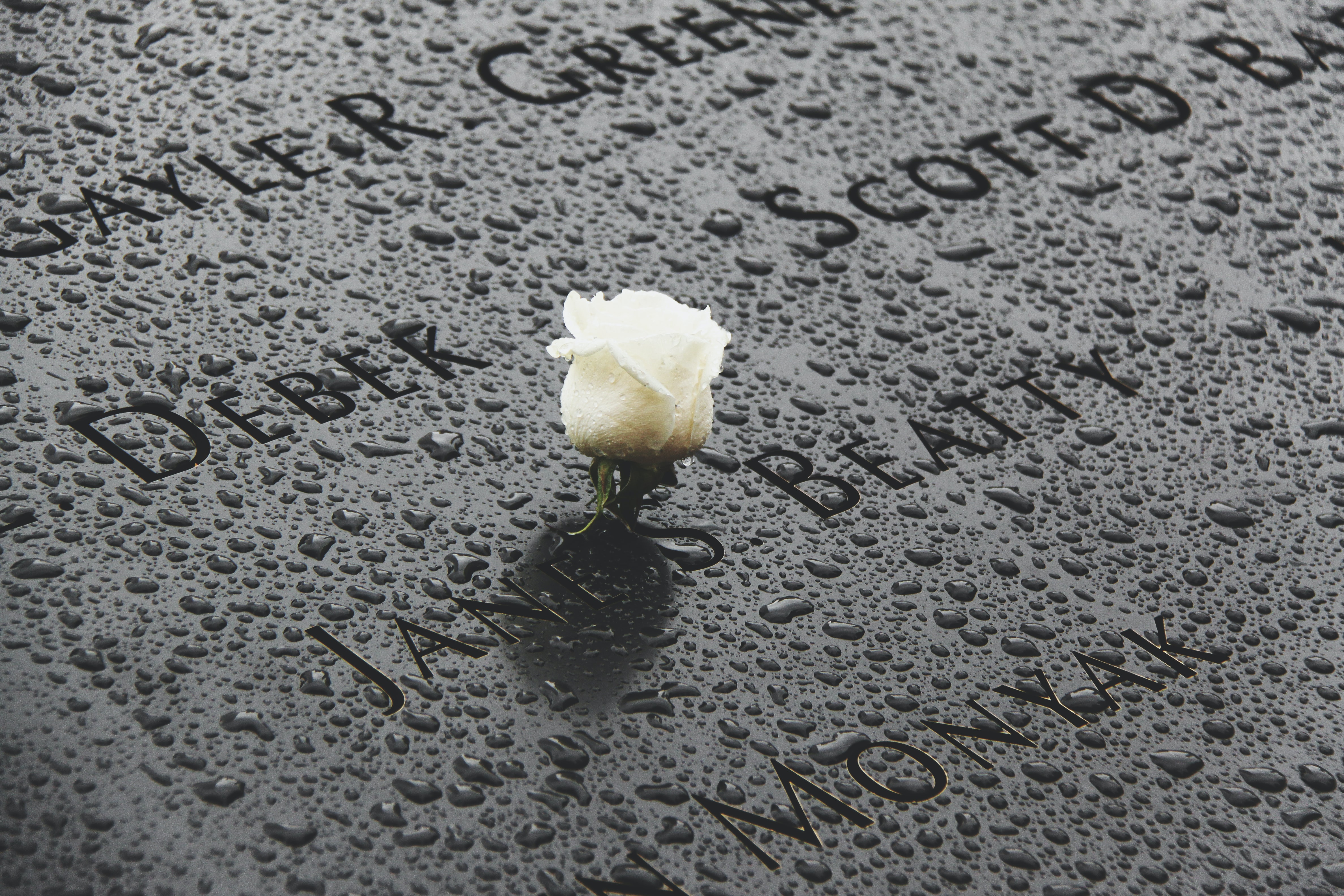 Berlīnē veidos memoriālu Otrajā pasaules karā nogalināto poļu piemiņai