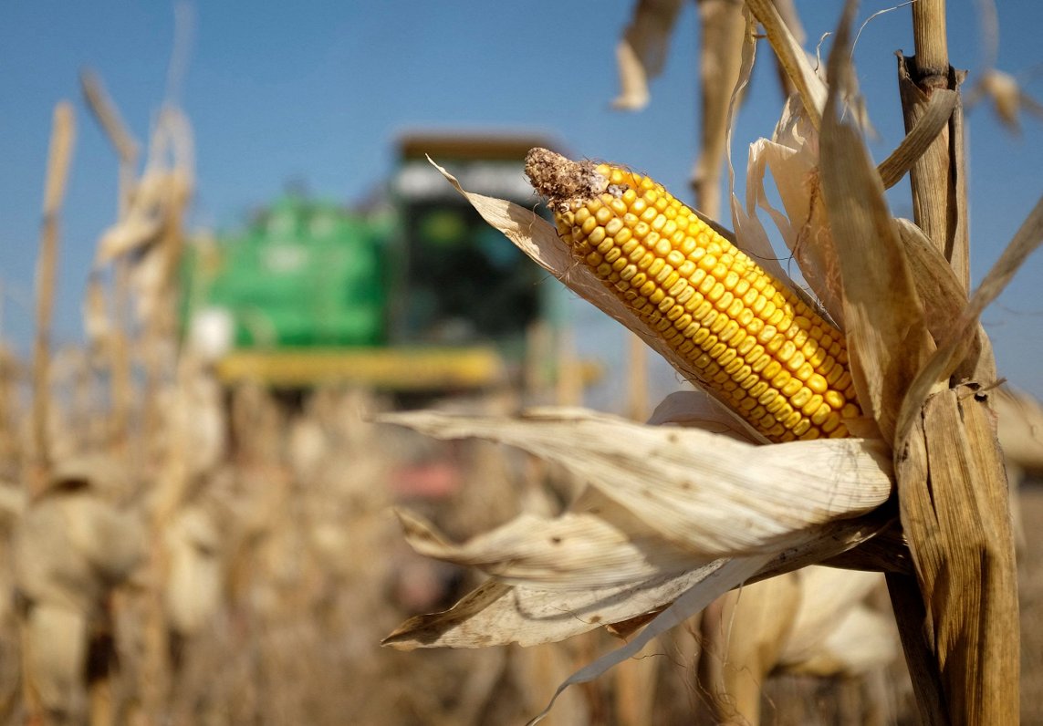 ЕС повысит тарифы на импорт с/х продукции из России и Беларуси