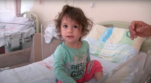 Змея умерла после укуса двухлетней девочки
