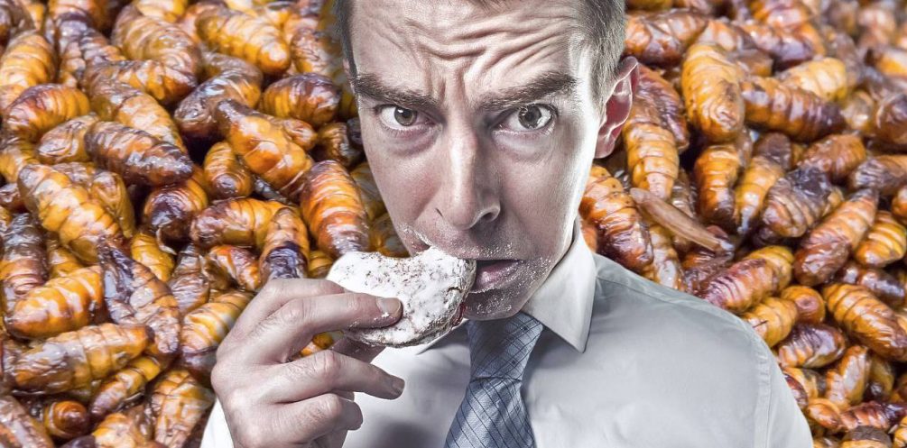 Внимательно читайте упаковку: скоро на латвийских прилавках появятся продукты с использованием сверчков и мучных червей