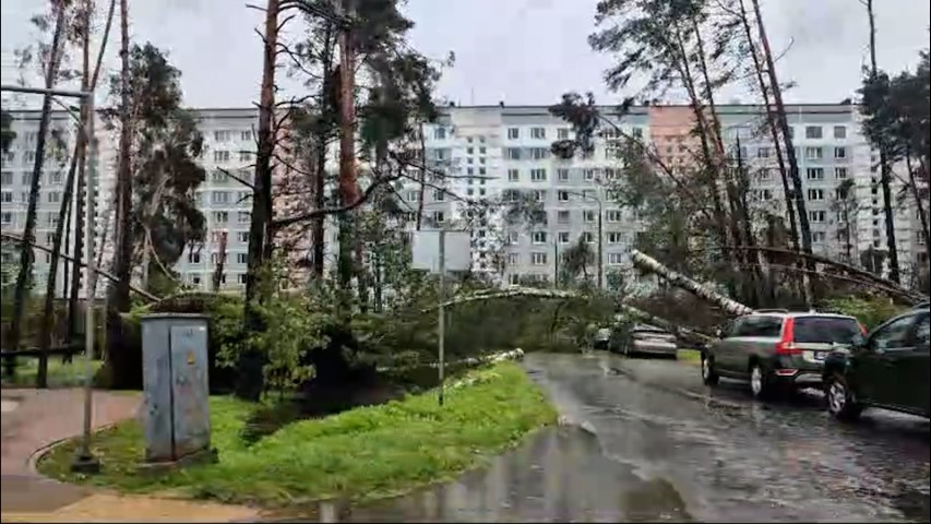 Пострадавшим от бури муниципалитетам могут привлечь финансирование ЕС