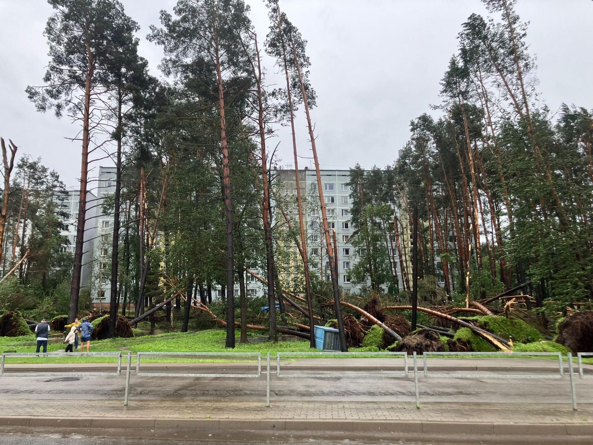 Министры посетят Юрмалу, чтобы оценить ущерб от урагана