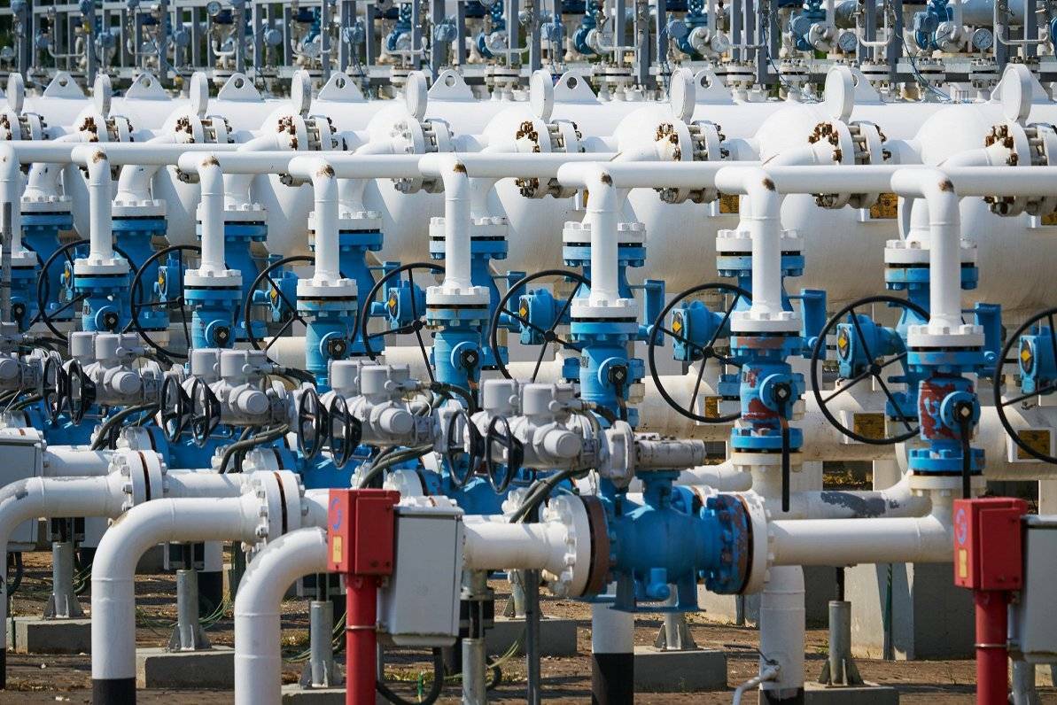Калвитис предрек энергетический кризис при запрете российского газа