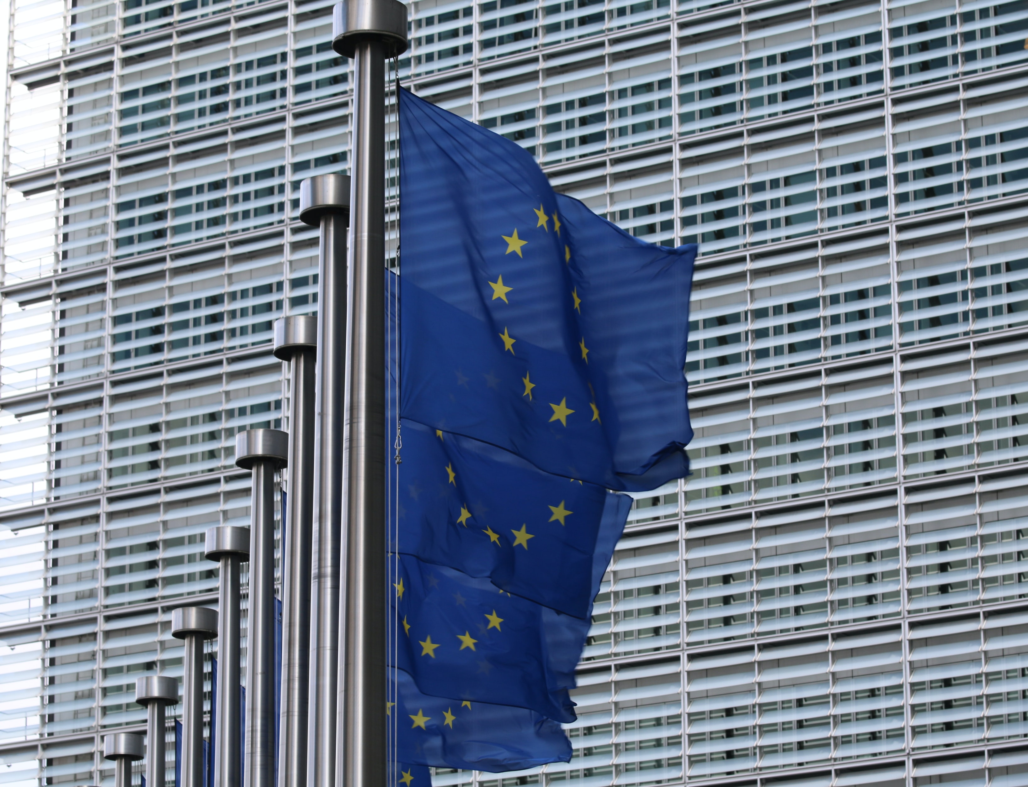 ES dalībvalstis vairs neuzskata Gvaido par Venecuēlas pagaidu prezidentu