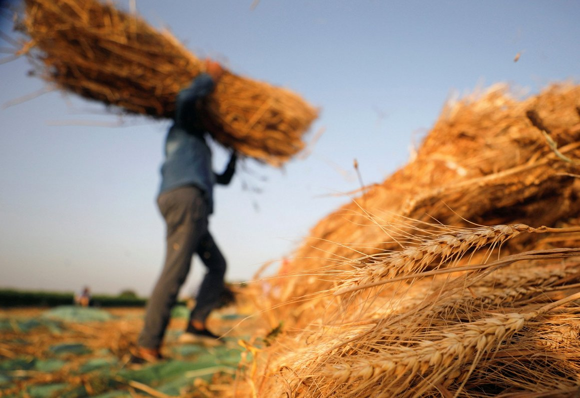 Ненормально, когда привезти работника-иностранца занимает три месяца — работодатели