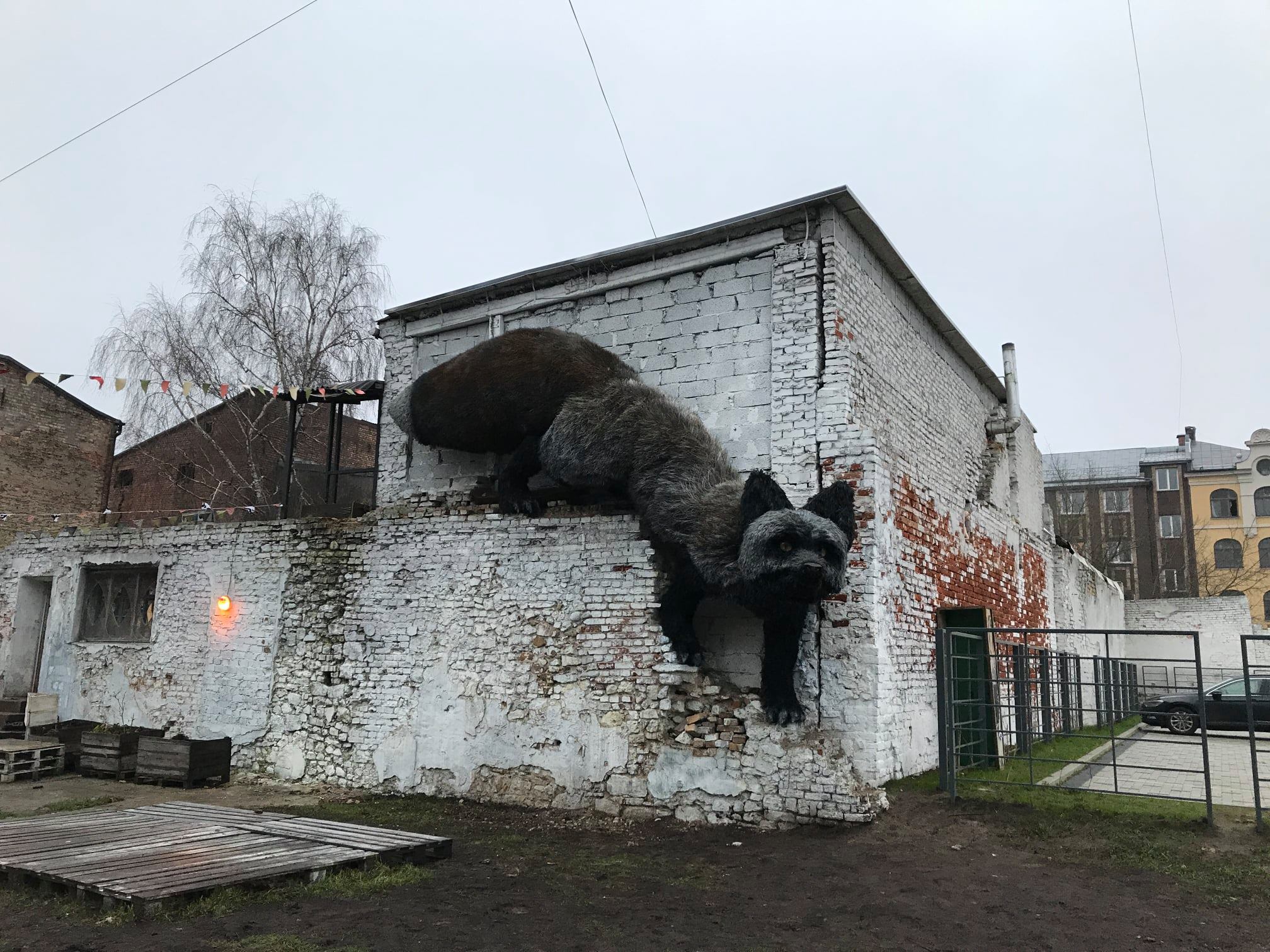 Огромная лисица появилась на Маскачке. Подарок от студента Академии художеств Огромная лисица появилась на Маскачке. Подарок от студента Академии художеств