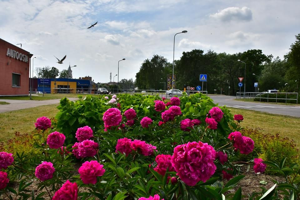 В середине недели интенсивность осадков и ветра уменьшится