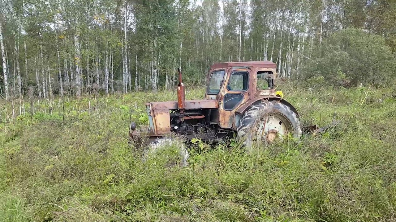 "Нас очень волнует осень". Сельское хозяйство бросают на произвол судьбы