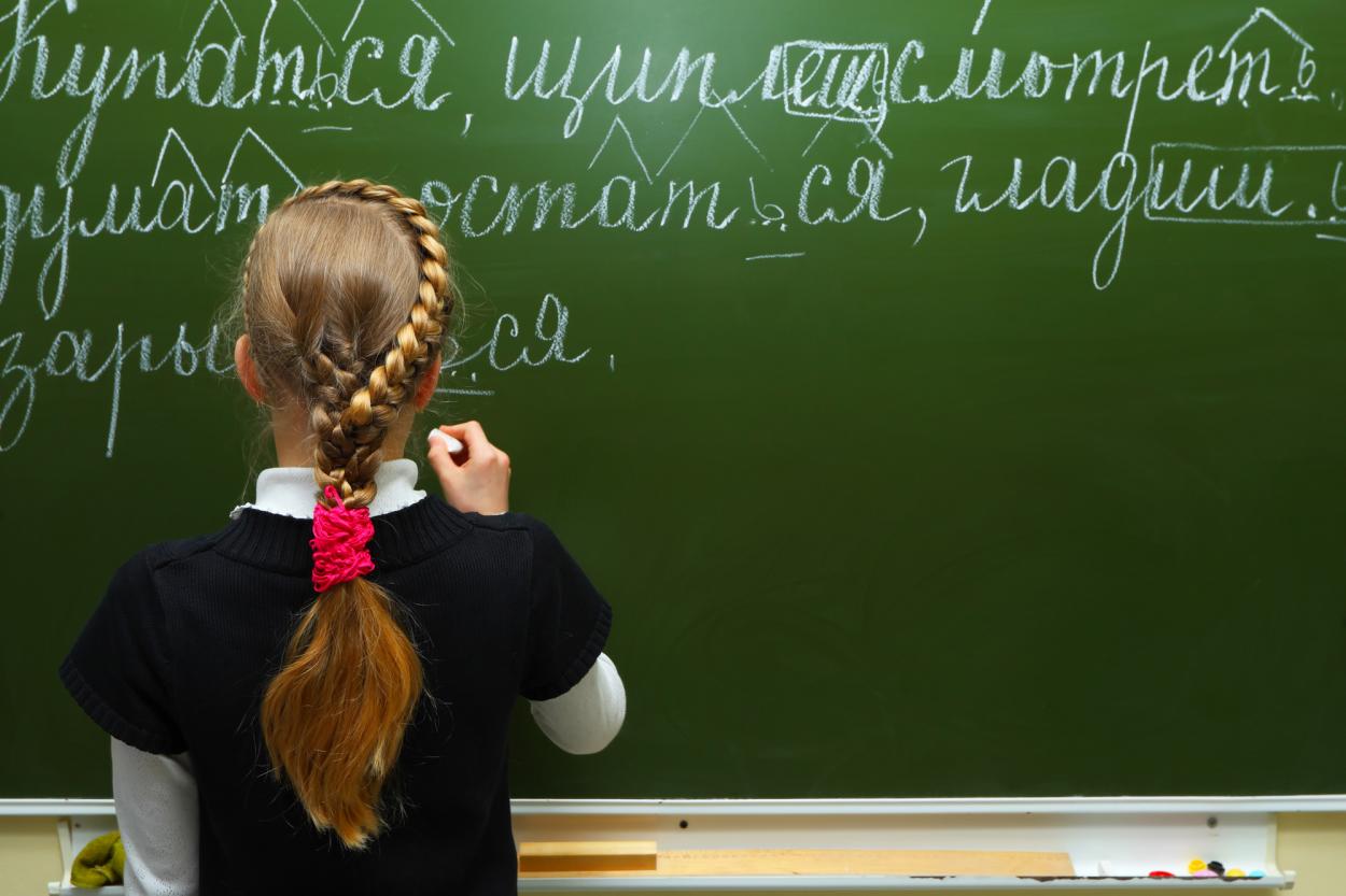 Комиссия Сейма одобрила ликвидацию образования на языках нацменьшинств