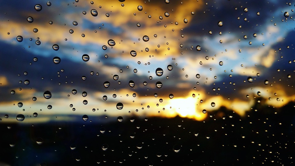 Тепло. Небольшие дожди Тепло. Небольшие дожди
