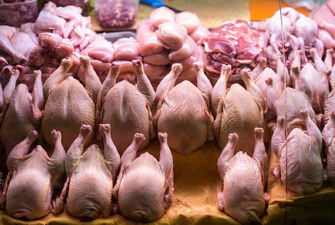 В Латвии собирают подписи за отказ от мяса животных: ежегодно мы забиваем 21 миллион кур В Латвии собирают подписи за отказ от мяса животных: ежегодно мы забиваем 21 миллион кур