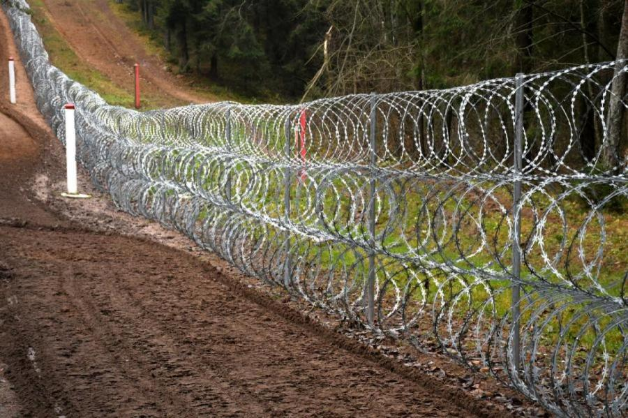 Давление нелегальной иммиграции на белорусской границе растет