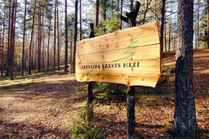Latvijas valsts meži ищет членов правления на зарплату до 12 700 евро