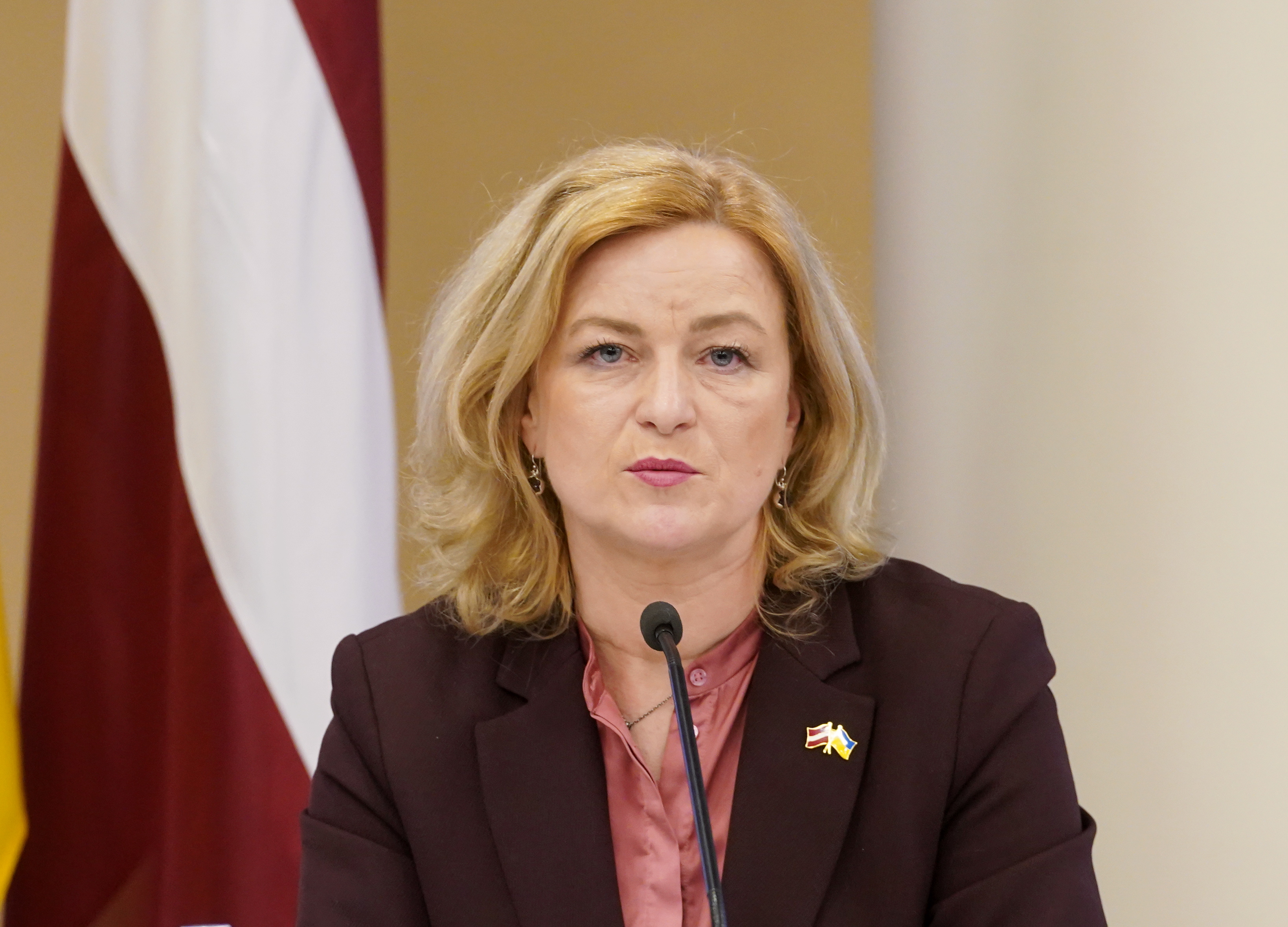Индриксоне: невозможно придать динамику работе правительства за счет изменения сфер ответственности