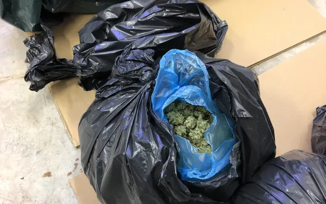 24 кило "травы". В Валга судят крупную эстонско-латвийскую наркогруппировку.