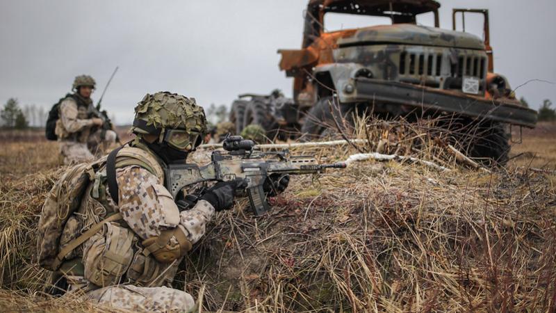 Кабмин уклончив в вопросе отправки военного контингента в Украину Кабмин уклончив в вопросе отправки военного контингента в Украину