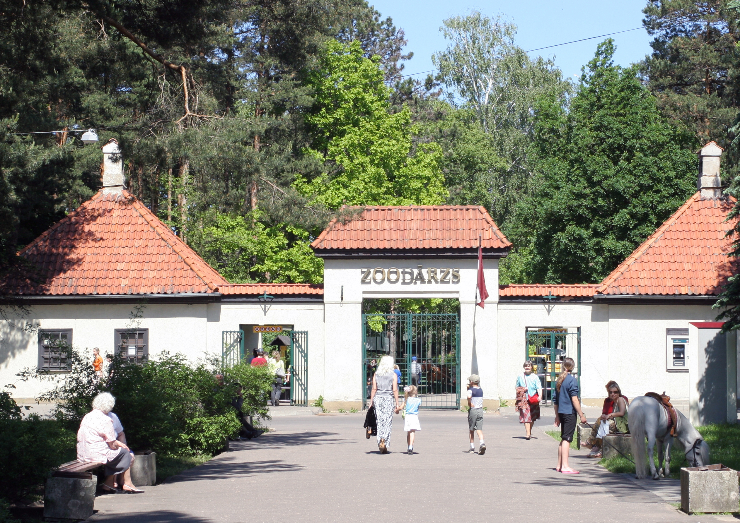 Zoodārzā var aplūkot gadu mijā dzimušo ķengura mazuli