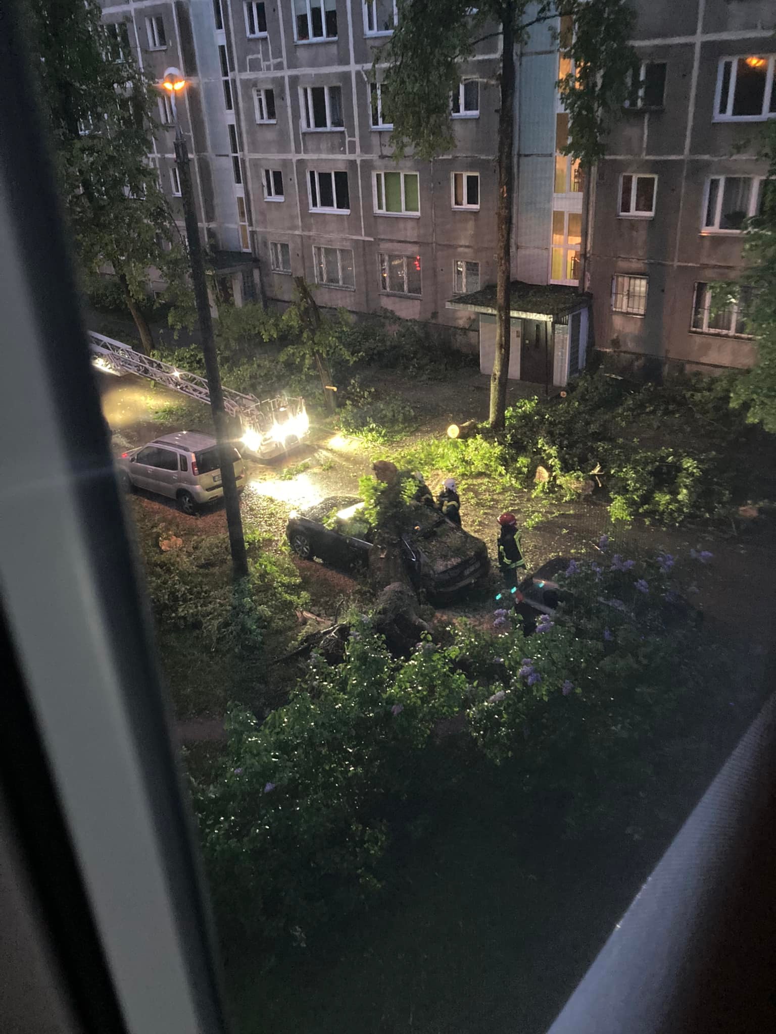 В Кенгарагсе дерево ночью упало на машину