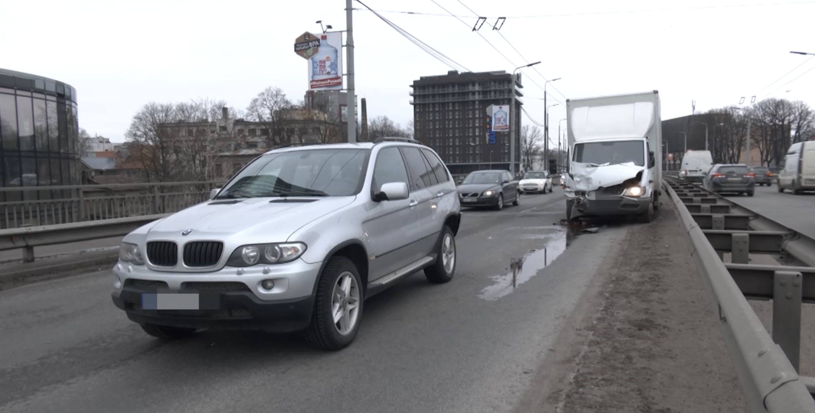 Бродячий пес стал причиной серьезной аварии на Вантовом мосту